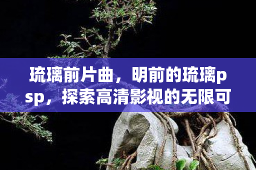 琉璃前片曲，明前的琉璃psp，探索高清影视的无限可能