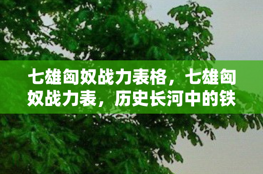 七雄匈奴战力表格，七雄匈奴战力表，历史长河中的铁血对决