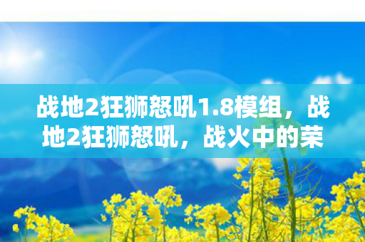 战地2狂狮怒吼1.8模组，战地2狂狮怒吼，战火中的荣耀与梦想