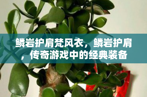 鳞岩护肩梵风衣，鳞岩护肩，传奇游戏中的经典装备