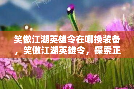 笑傲江湖英雄令在哪换装备，笑傲江湖英雄令，探索正版江湖的无限可能