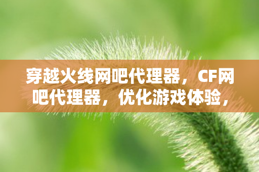穿越火线网吧代理器，CF网吧代理器，优化游戏体验，提升竞技水平