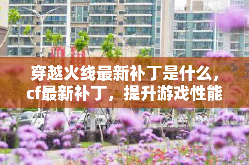 穿越火线最新补丁是什么，cf最新补丁，提升游戏性能与体验的全面升级