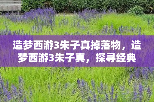 造梦西游3朱子真掉落物，造梦西游3朱子真，探寻经典游戏的魅力与传承