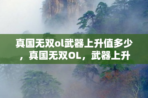 真国无双ol武器上升值多少，真国无双OL，武器上升值深度解析