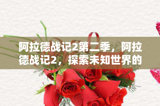 阿拉德战记2第二季，阿拉德战记2，探索未知世界的奇幻之旅