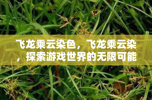 飞龙乘云染色，飞龙乘云染，探索游戏世界的无限可能