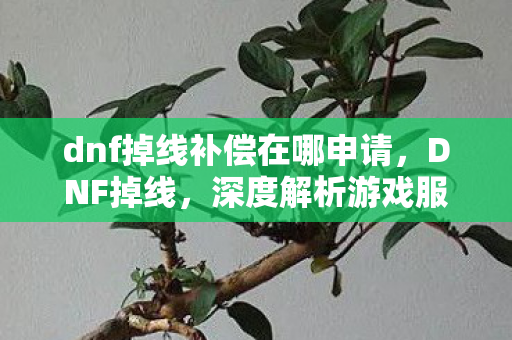 dnf掉线补偿在哪申请，DNF掉线，深度解析游戏服务器稳定性问题