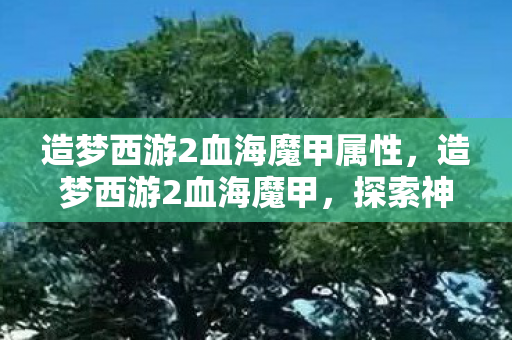 造梦西游2血海魔甲属性，造梦西游2血海魔甲，探索神秘世界的传奇装备