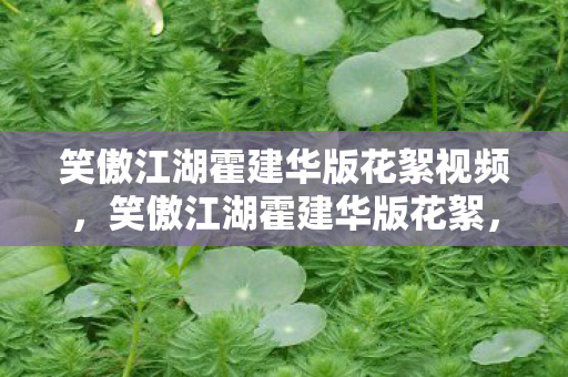笑傲江湖霍建华版花絮视频，笑傲江湖霍建华版花絮，经典再现的幕后故事