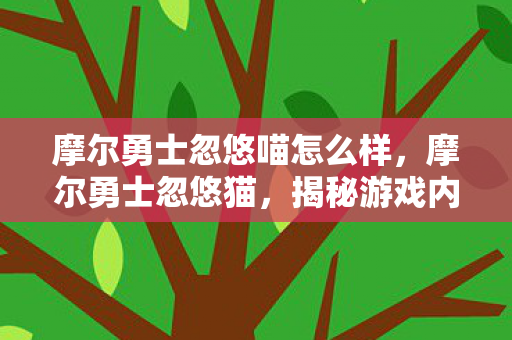摩尔勇士忽悠喵怎么样，摩尔勇士忽悠猫，揭秘游戏内的神秘存在