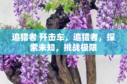 追猎者 歼击车，追猎者，探索未知，挑战极限