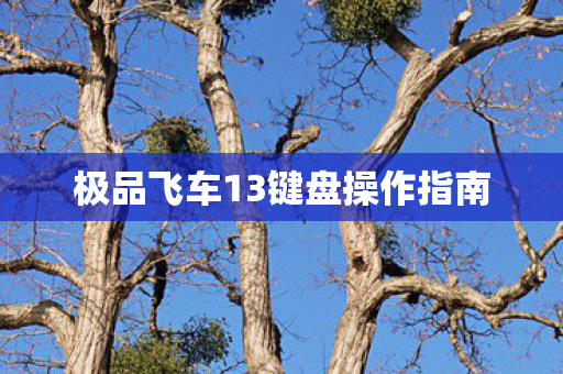 极品飞车13键盘操作指南