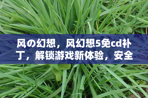 风の幻想，风幻想5免cd补丁，解锁游戏新体验，安全使用是关键