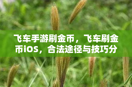 飞车手游刷金币，飞车刷金币iOS，合法途径与技巧分享