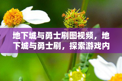 地下城与勇士刷图视频，地下城与勇士刷，探索游戏内经济系统的奥秘