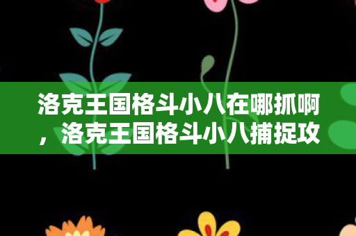 洛克王国格斗小八在哪抓啊，洛克王国格斗小八捕捉攻略