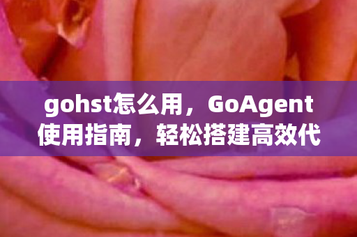 gohst怎么用，GoAgent使用指南，轻松搭建高效代理环境