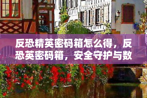反恐精英密码箱怎么得，反恐英密码箱，安全守护与数字时代的隐私挑战