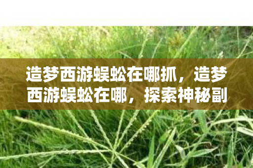 造梦西游蜈蚣在哪抓，造梦西游蜈蚣在哪，探索神秘副本的指南
