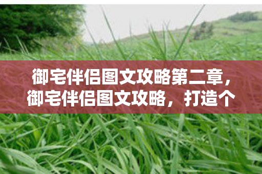 御宅伴侣图文攻略第二章，御宅伴侣图文攻略，打造个性化游戏世界