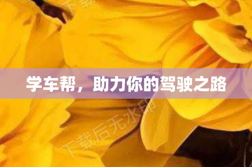 学车帮，助力你的驾驶之路