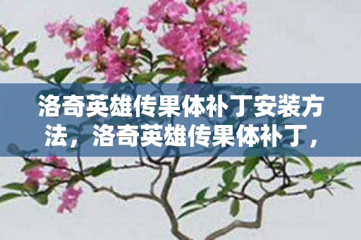 洛奇英雄传果体补丁安装方法，洛奇英雄传果体补丁，提升游戏视觉体验的新选择