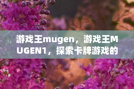 游戏王mugen，游戏王MUGEN1，探索卡牌游戏的无限可能