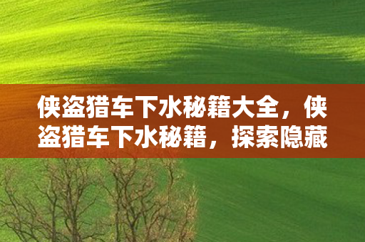 侠盗猎车下水秘籍大全，侠盗猎车下水秘籍，探索隐藏的水下世界