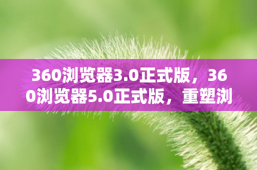 360浏览器3.0正式版，360浏览器5.0正式版，重塑浏览体验，引领安全新高度