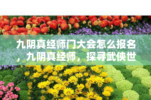 九阴真经师门大会怎么报名，九阴真经师，探寻武侠世界的奥秘