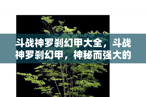 斗战神罗刹幻甲大全，斗战神罗刹幻甲，神秘而强大的装备