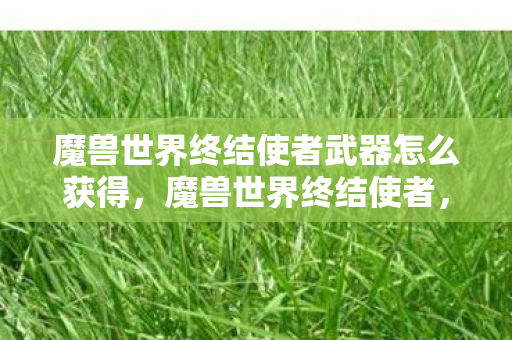 魔兽世界终结使者武器怎么获得，魔兽世界终结使者，探索游戏世界的终结与重生