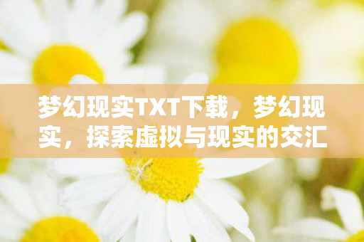 梦幻现实TXT下载，梦幻现实，探索虚拟与现实的交汇点