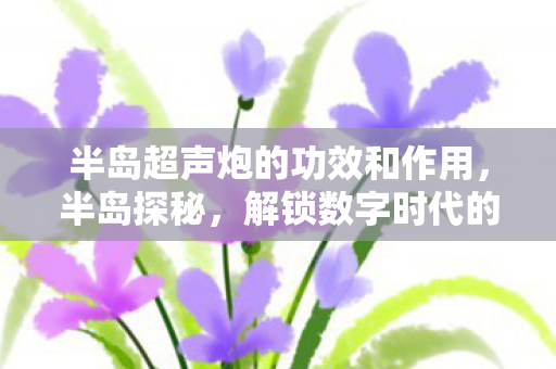 半岛超声炮的功效和作用，半岛探秘，解锁数字时代的无限可能