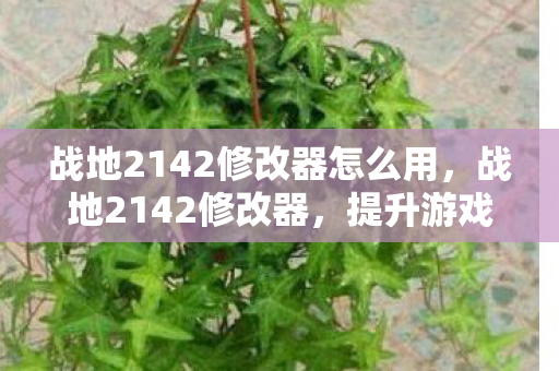 战地2142修改器怎么用，战地2142修改器，提升游戏体验的利器