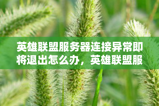 英雄联盟服务器连接异常即将退出怎么办，英雄联盟服务器连接异常即将退出，深度解析与应对建议