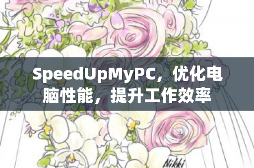 SpeedUpMyPC，优化电脑性能，提升工作效率