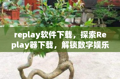 replay软件下载，探索Replay器下载，解锁数字娱乐的新世界