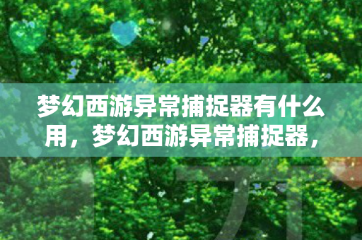 梦幻西游异常捕捉器有什么用，梦幻西游异常捕捉器，守护游戏安全的科技利器