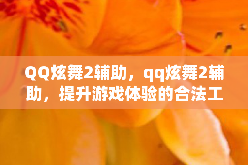 QQ炫舞2辅助，qq炫舞2辅助，提升游戏体验的合法工具