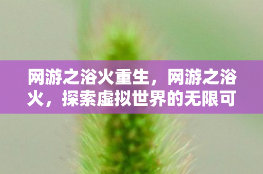 网游之浴火重生，网游之浴火，探索虚拟世界的无限可能