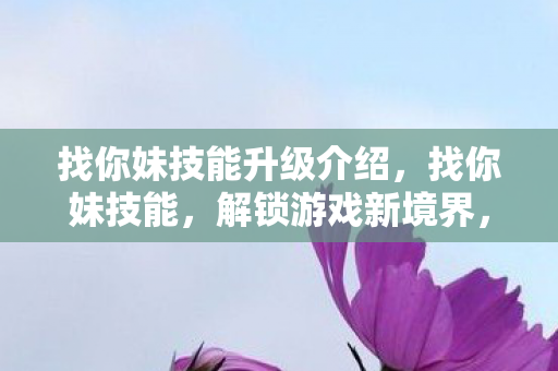 找你妹技能升级介绍，找你妹技能，解锁游戏新境界，探索未知的乐趣