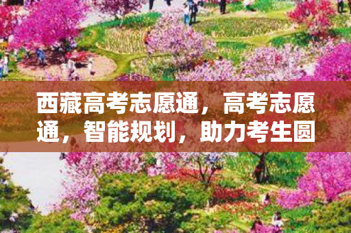 西藏高考志愿通，高考志愿通，智能规划，助力考生圆梦未来