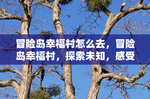 冒险岛幸福村怎么去，冒险岛幸福村，探索未知，感受温馨
