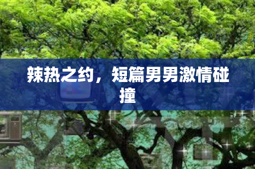 辣热之约，短篇男男激情碰撞