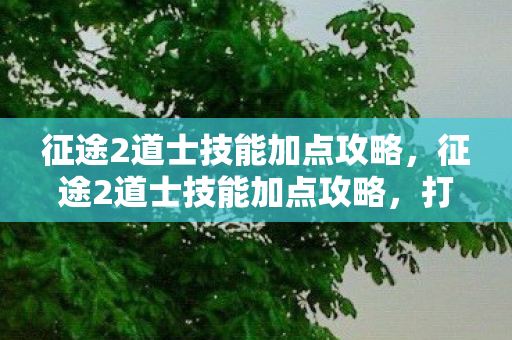 征途2道士技能加点攻略，征途2道士技能加点攻略，打造高效战斗道士