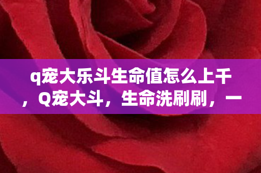 q宠大乐斗生命值怎么上千，Q宠大斗，生命洗刷刷，一场虚拟世界的狂欢
