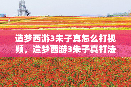 造梦西游3朱子真怎么打视频，造梦西游3朱子真打法攻略