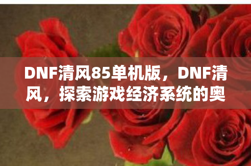 DNF清风85单机版，DNF清风，探索游戏经济系统的奥秘